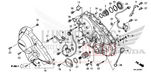 PANNEAU CARTER-MOTEUR D. (NC750XD) NC750XDL de 2020